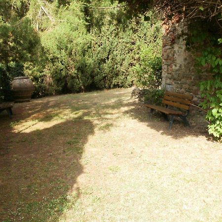 Agriturismo Il Palazzaccio Villa Galliano Exterior foto