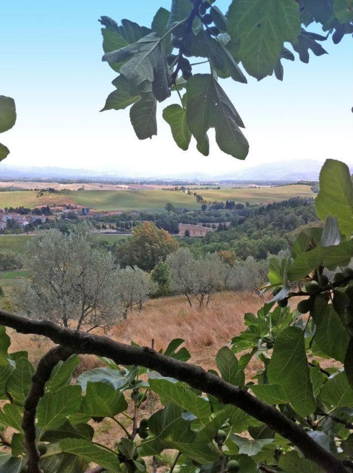 Agriturismo Il Palazzaccio Villa Galliano Exterior foto