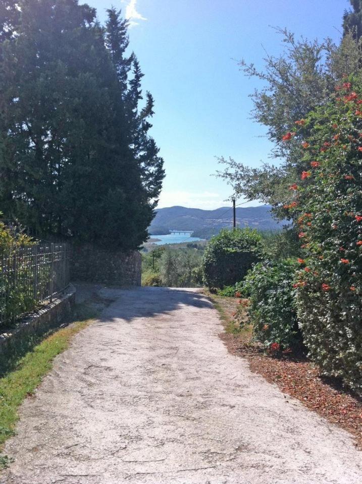 Agriturismo Il Palazzaccio Villa Galliano Exterior foto